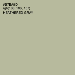 #B7BA9D - Heathered Gray Color Image